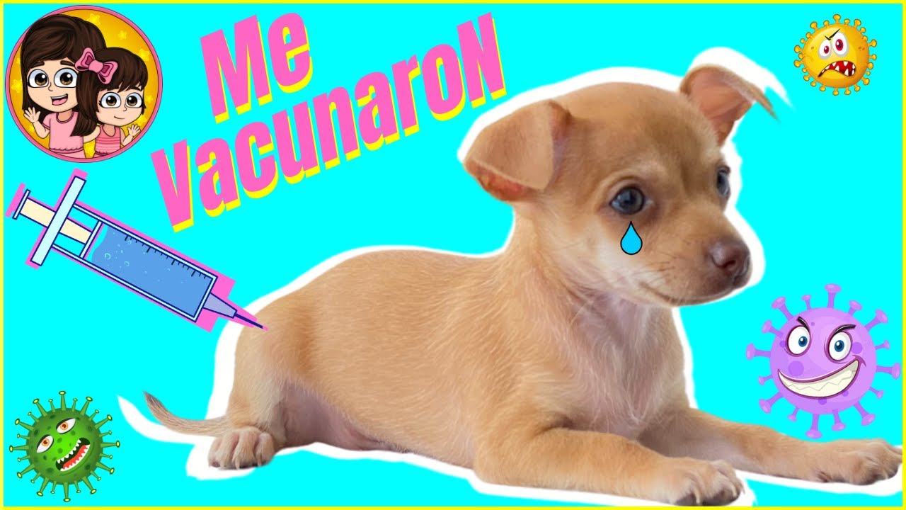 VACUNAMOS A LUQUITAS | Las Leoncitas Kids