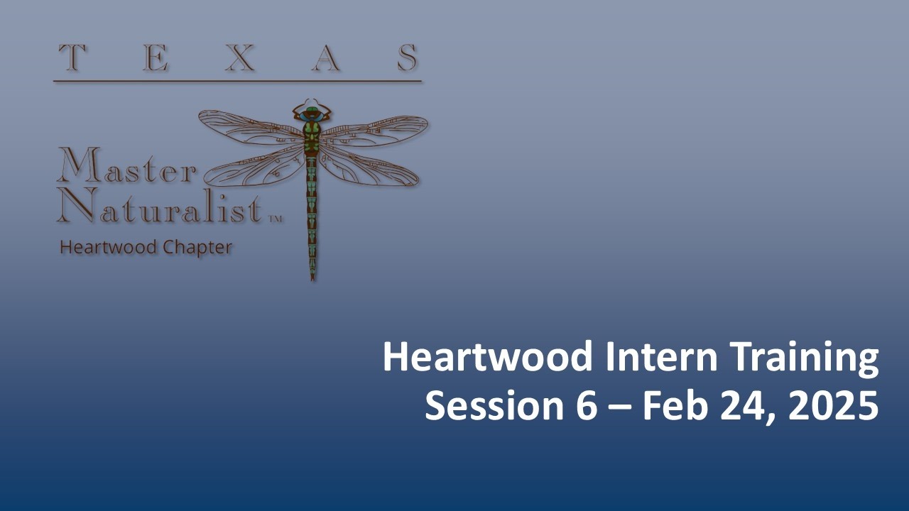 Heartwood Intern Training Session  6 - Feb 24, 2026