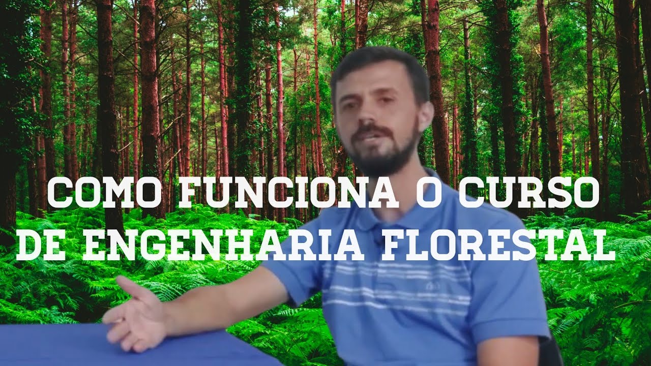 Como funciona o curso de engenharia florestal
