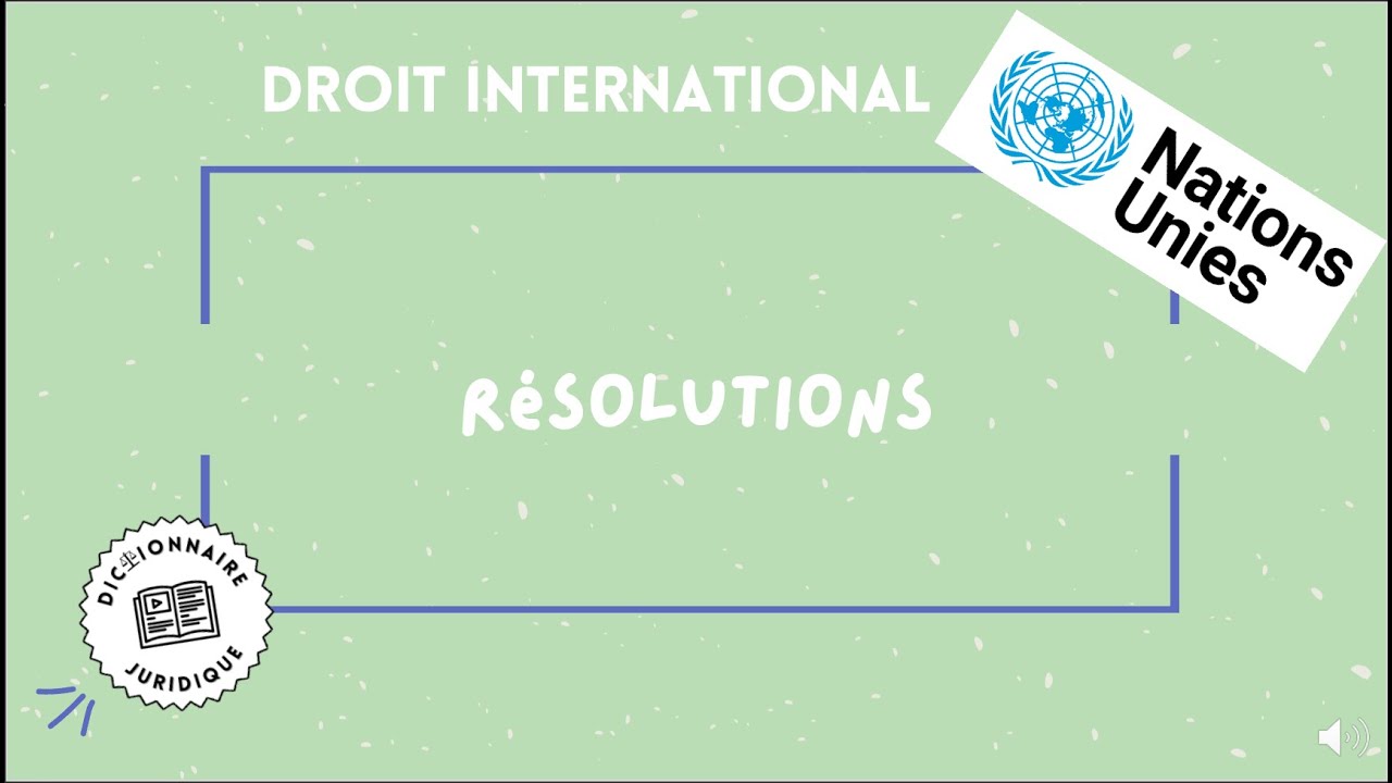 Qu'est-ce que les résolutions de l'ONU ? La Minute de droit ⏱️