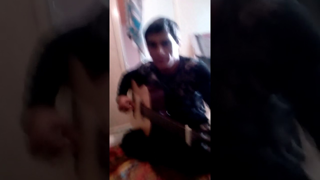Плащун филя