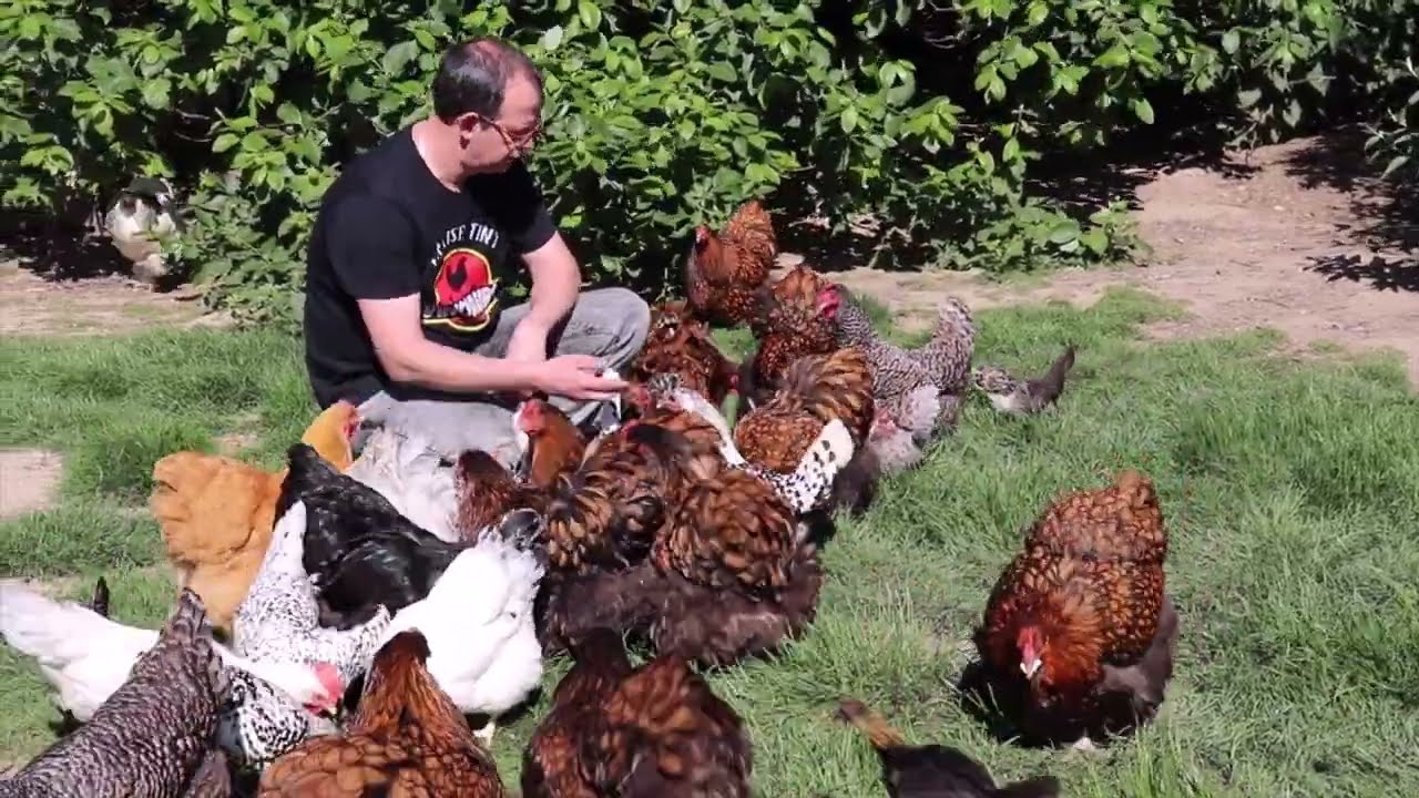Reportage AVIPASSION chez Emmanuel Gravelle