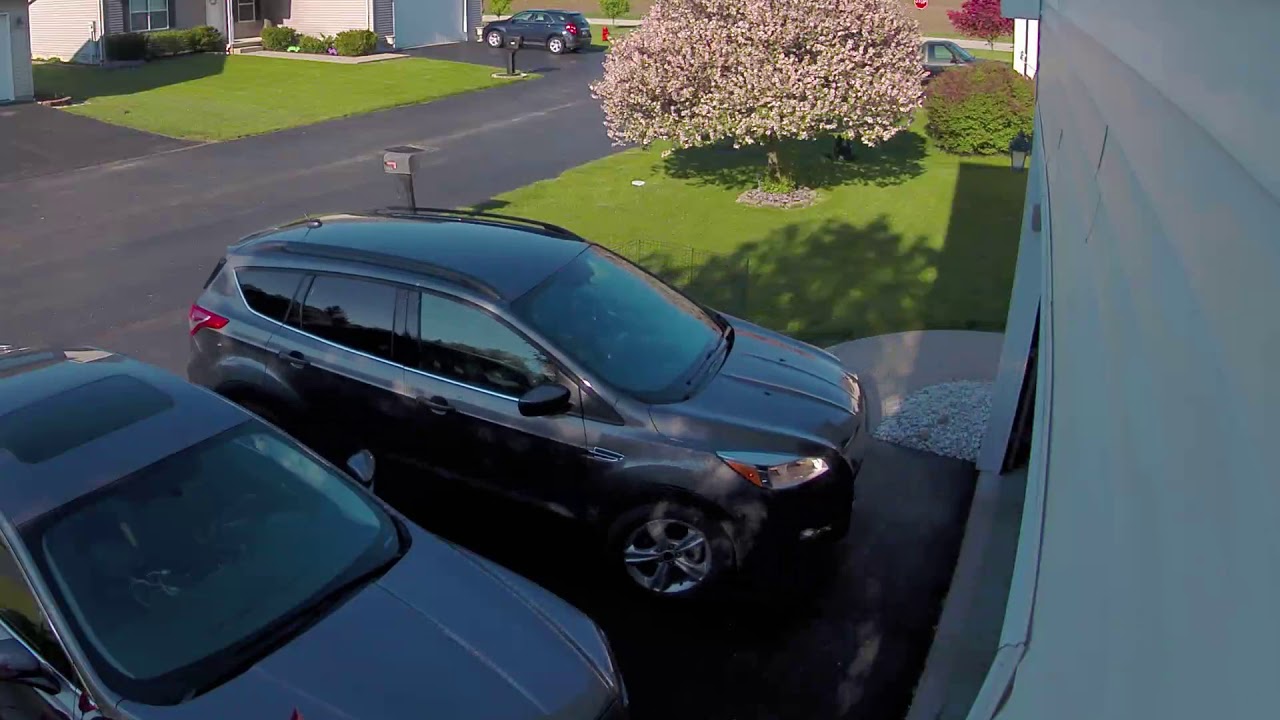 Arlo Ultra Pan and Zoom Sample
