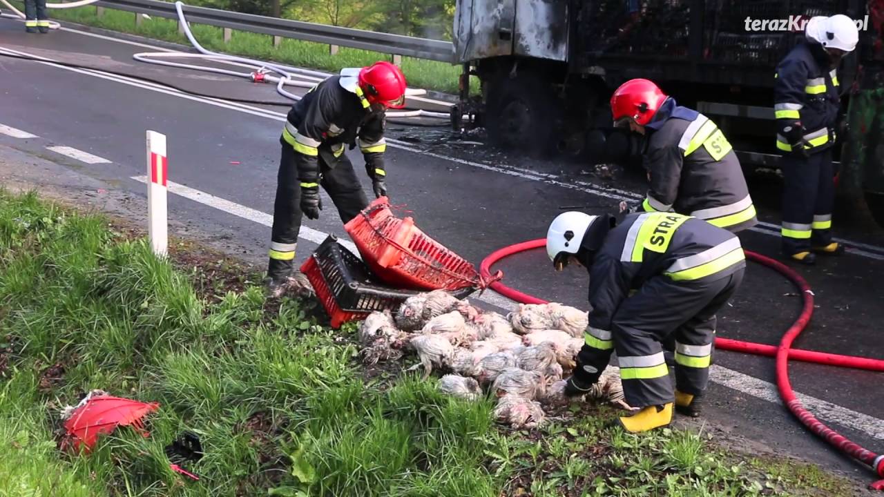 Pożar ciężarówki z drobiem w Woli Komborskiej (28.04.2016)
