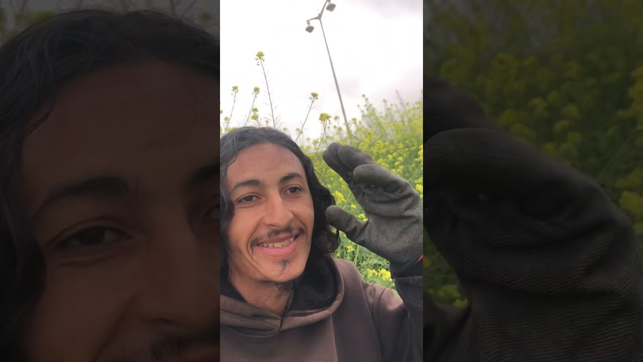 شكرا #لمتابعين الصفحة على تفاعلكم الكبير ❤️👍#جيم #تعليق #بارطاجيو_بارك_الله_فيكم