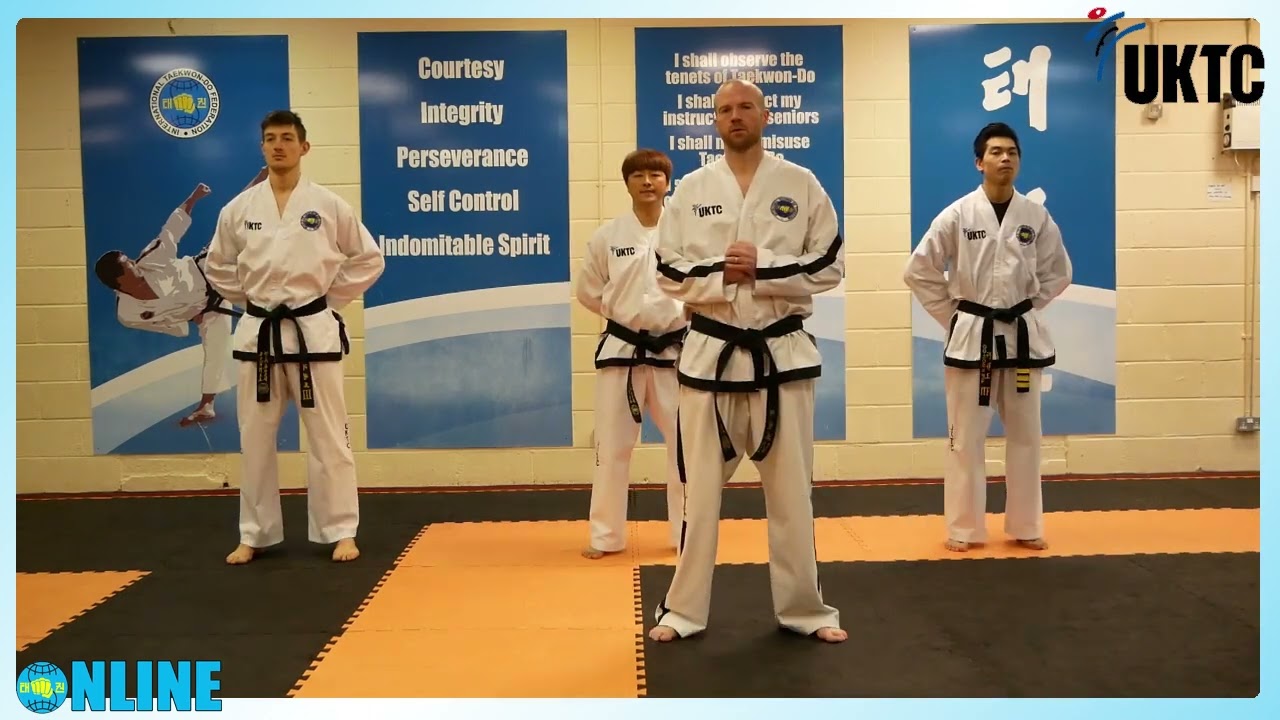 ITF Taekwon-Do Multiple Kicks