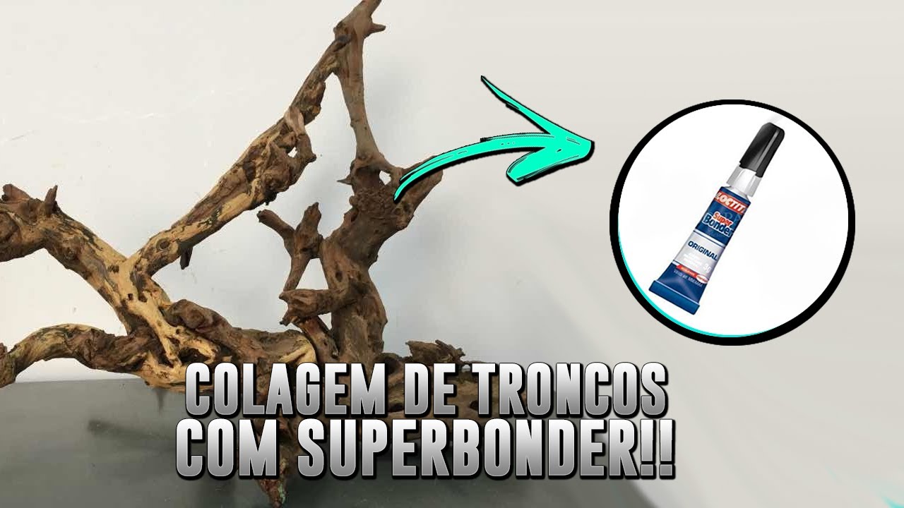 !!! COLAGEM DE TRONCOS com SuperBonder !!! Como fazer no seu Aquário PLANTADO?