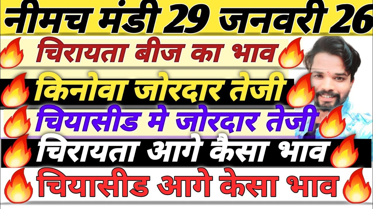 नीमच मंडी भाव। चिया भाव। नया किनोवा का भाव। चिरायता का भाव। Neemuch Mandi bhav today chirayata