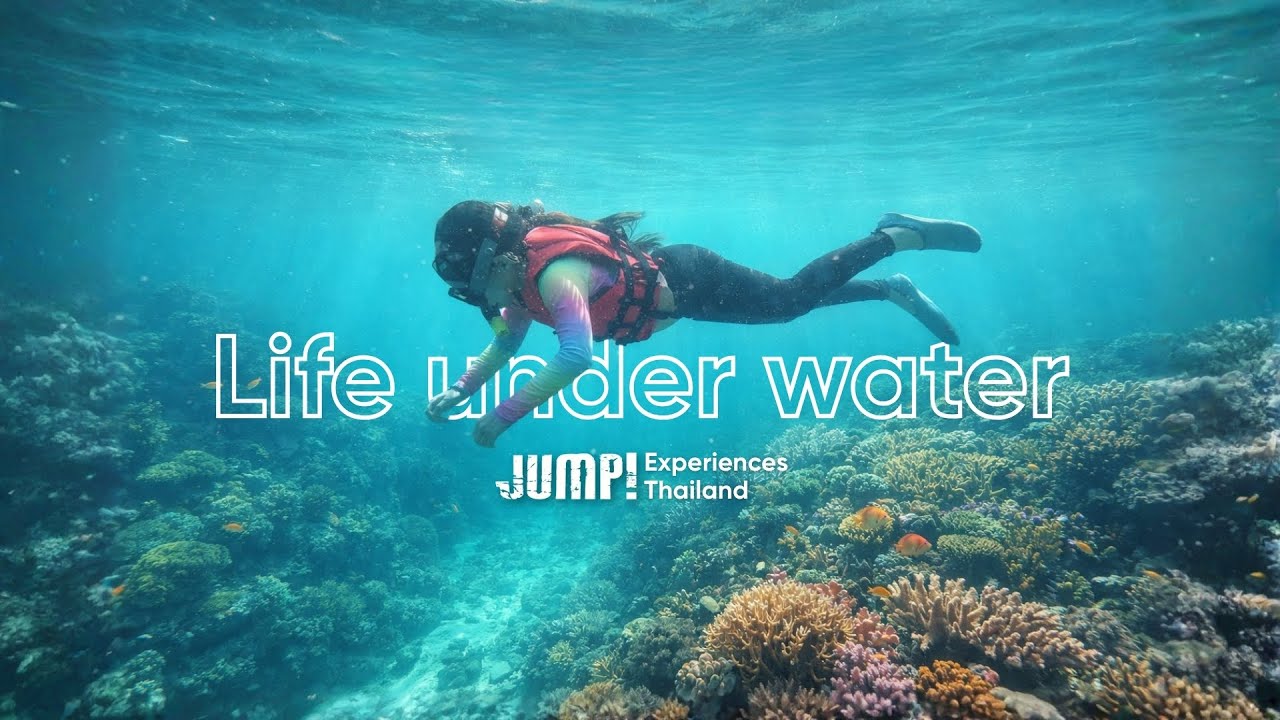 Life Under Water - JUMP! x Stamford American International School Field Studies | Phuket, Thailand