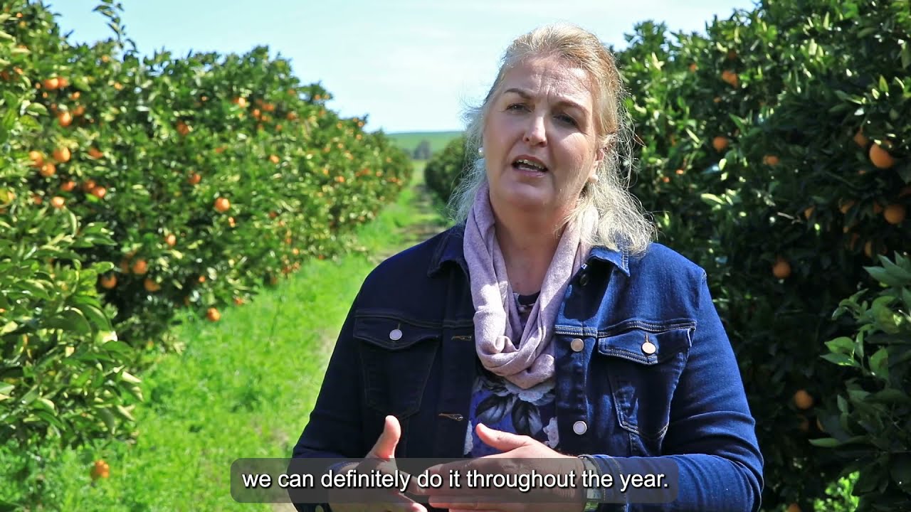 SIZA Member Testimonials —Sandra Vlok from 24 Riviere Boerdery on audits during peak season
