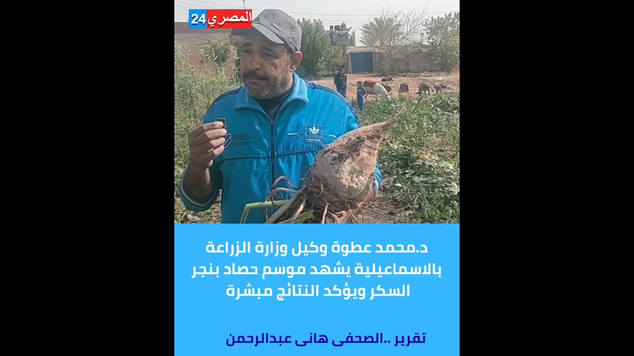 #مصر_الحلوةوكيل وزارة الزراعة بالاسماعيلية د.محمد عطوة  يشهد موسم حصاد بنجر السكر#المصري24