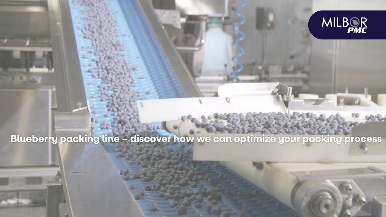 Blueberry packing line – discover how we can optimise your packing process | Milbor PMC