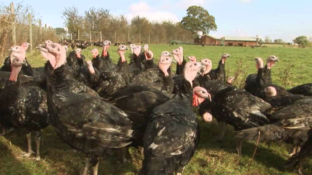 JCB - a farming family