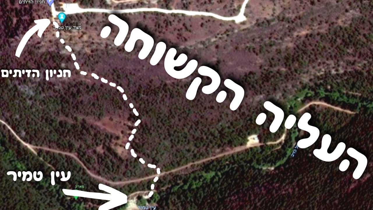 המסלול הכחול מעין טמיר לחניון הזיתים של פארק גורן
