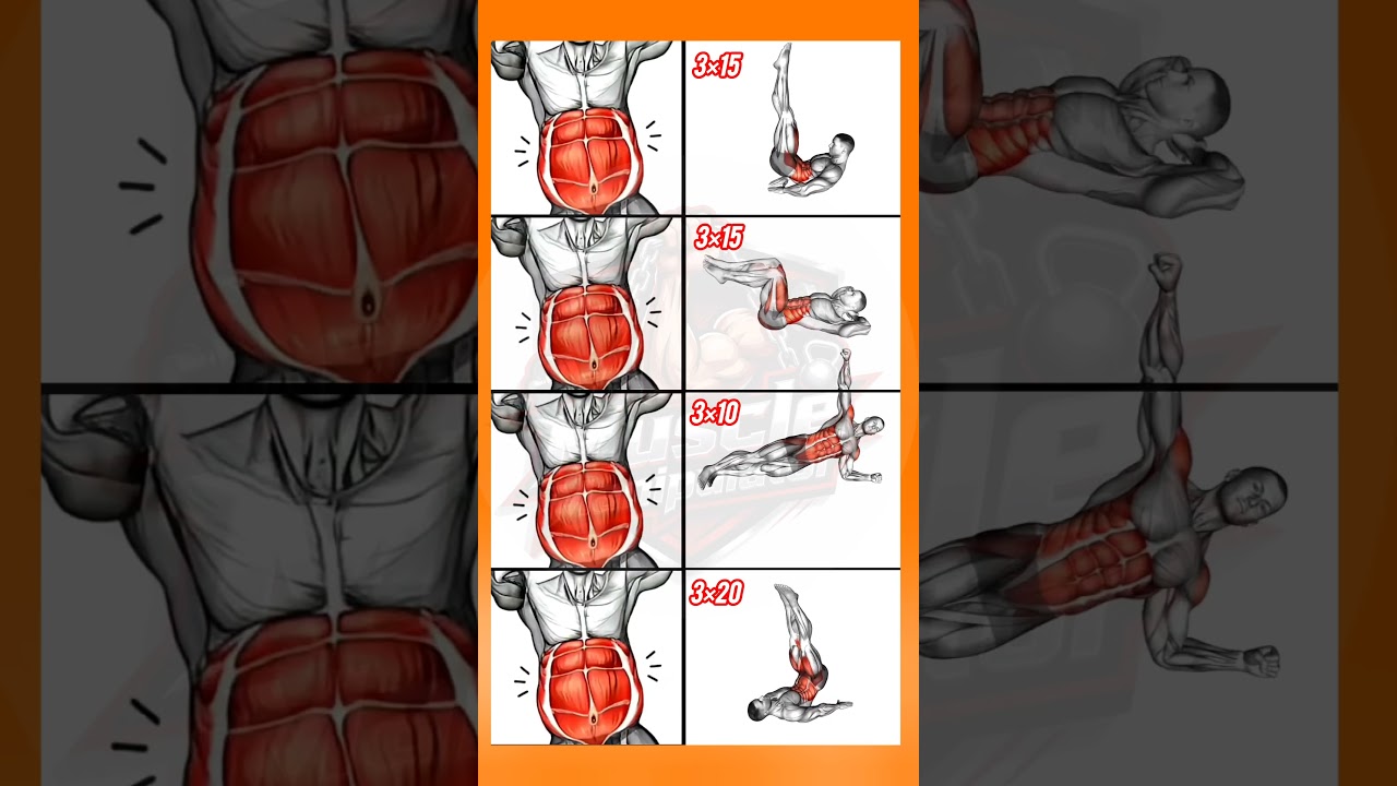 No-Equipment Abs Workout for Beginners 