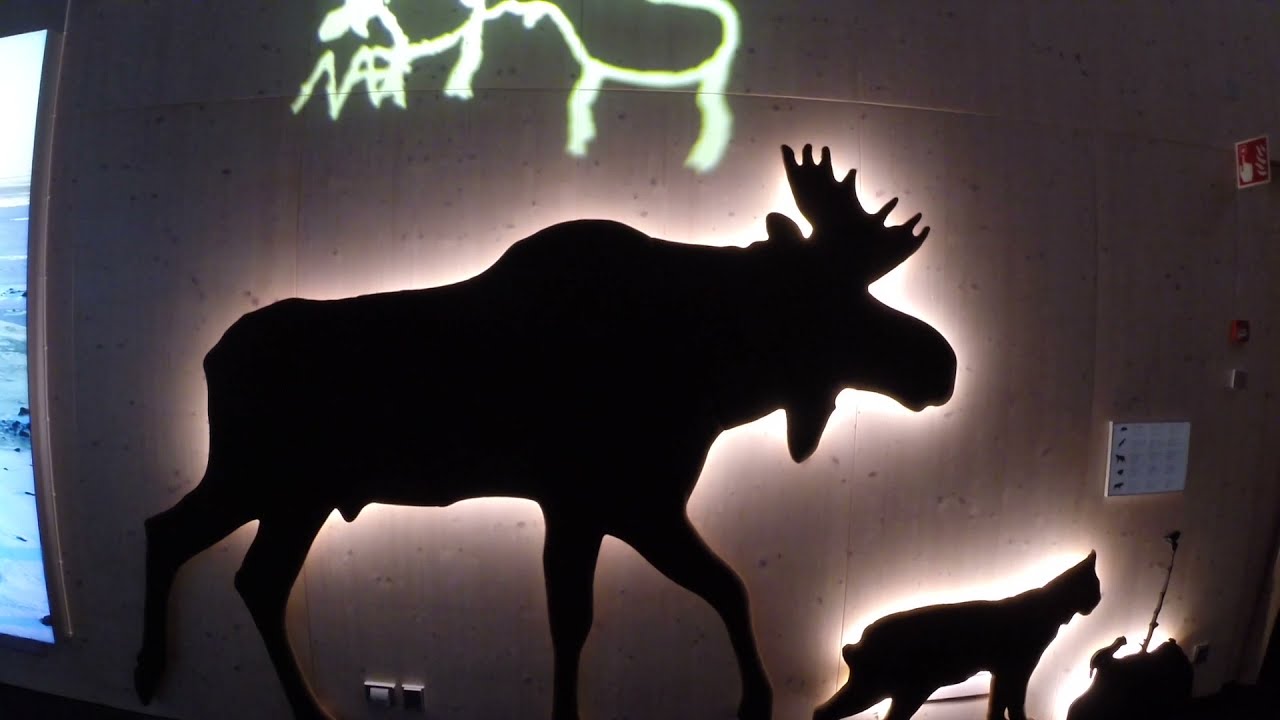 Walking Tour of Finnish Nature Center Haltia | Haltia Exhibitions Event Spaces and Restaurant