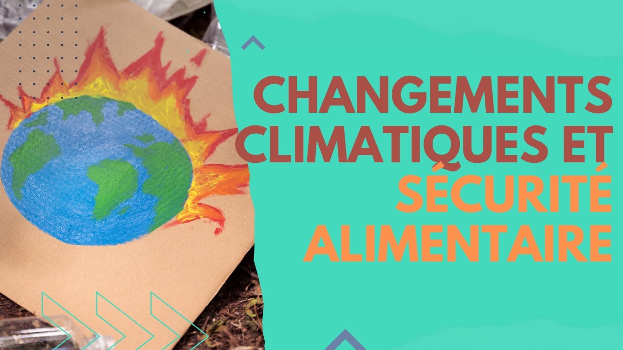 Impact des changements climatiques sur la s&eacute;curit&eacute; alimentaire