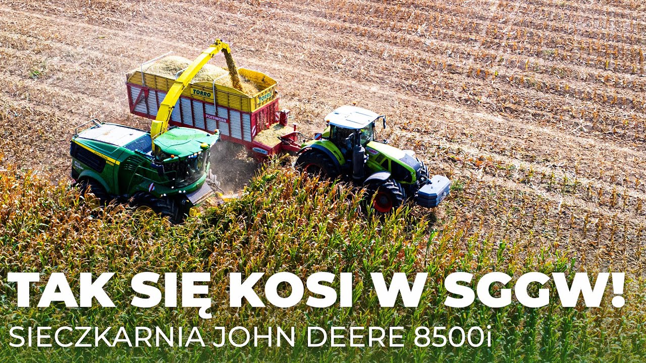 Żniwa kukurydzy na SGGW! Sieczkarnia John Deere 8500i| Rolnik Na Czasie