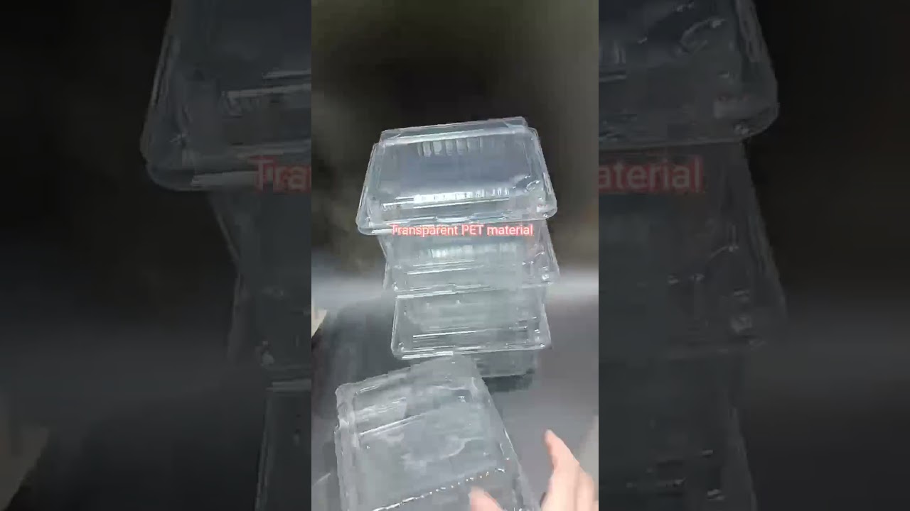 Transparent food container #foodcontainers #packagingsolution #foodpackage #foodpackaging #takeaway