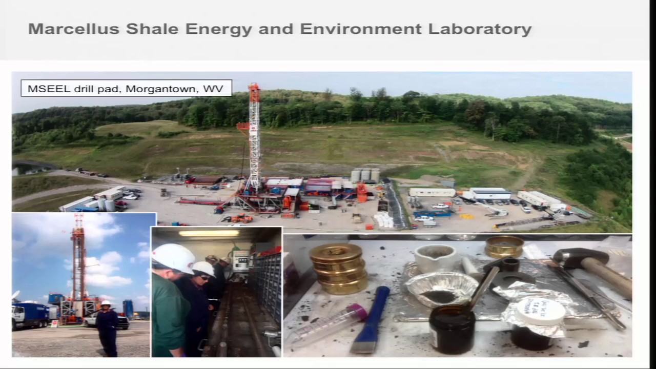 Life in the Subsurface  the Geomicrobiology of the Deep Biosphere   (Kelly Wrighton)