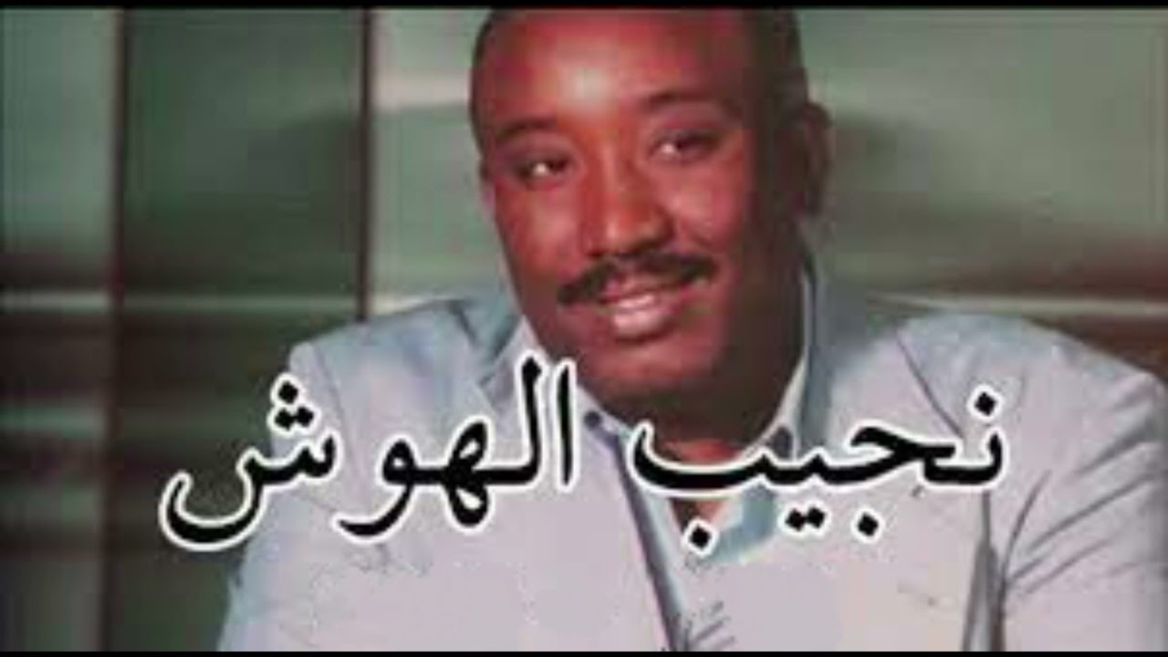 نجيب الهوش تذكري كيف كنا