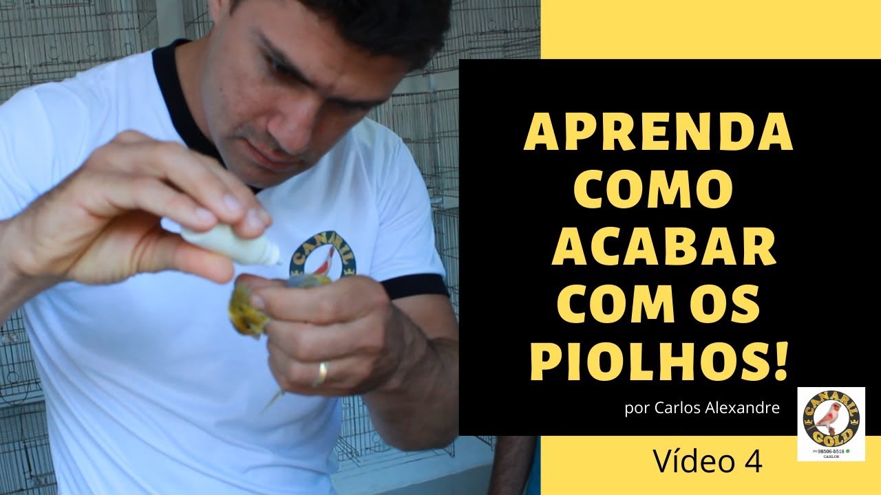 APRENDA COMO ACABAR COM OS PIOLHOS