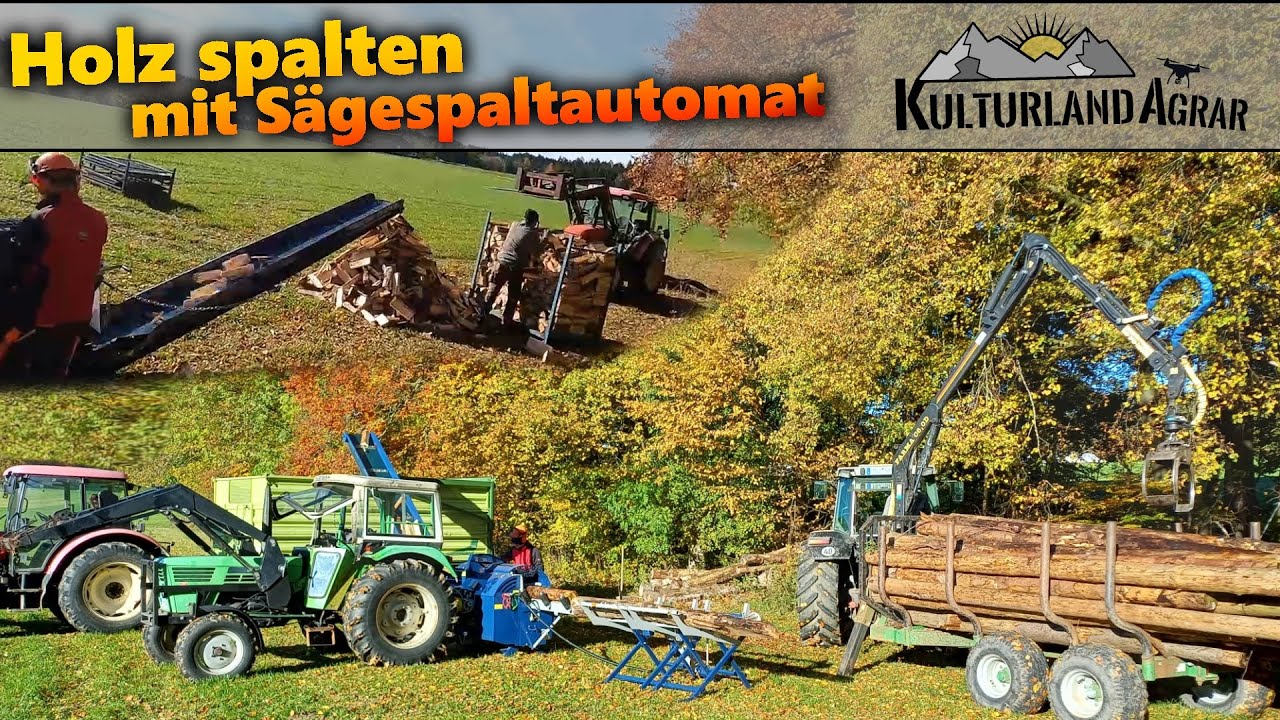 Holz spalten mit Tajfun RCA 400 Sägespaltautomat | Brennholz machen
