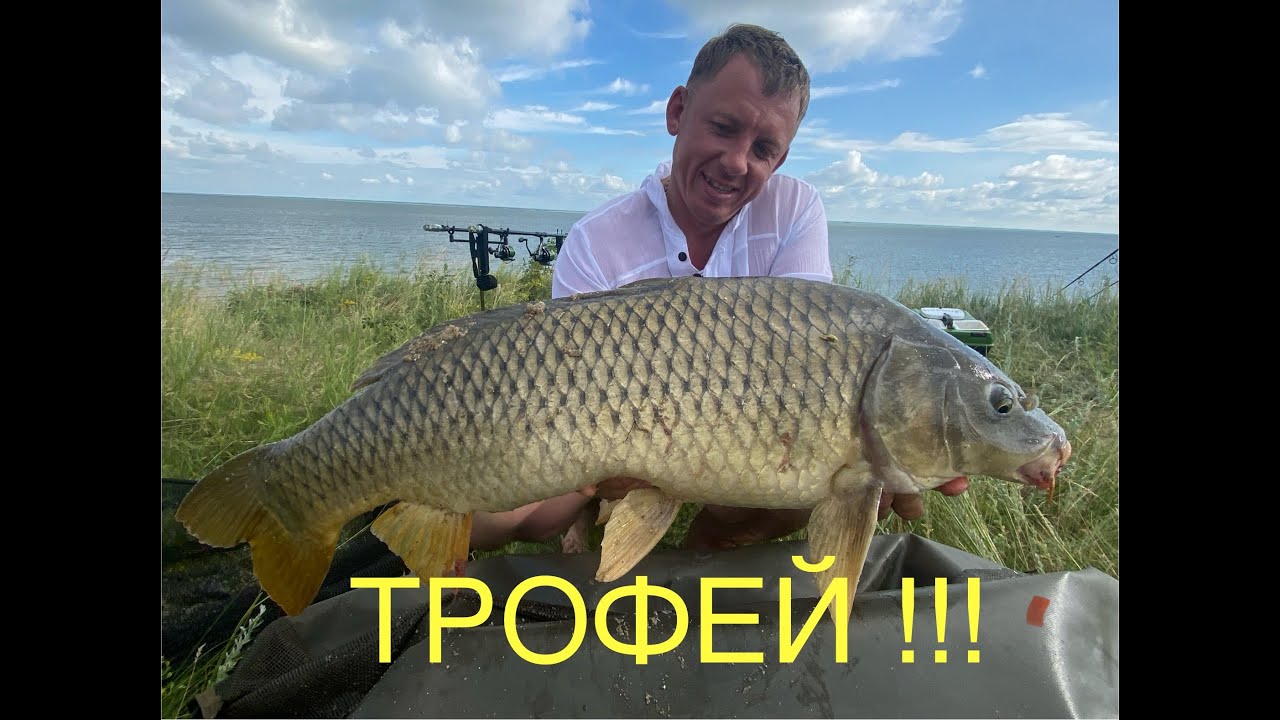 /Большие Карповые Трофеи/И снова мощный Ураган/Малый Таранқөл радует/Карпфишинг в СКО/