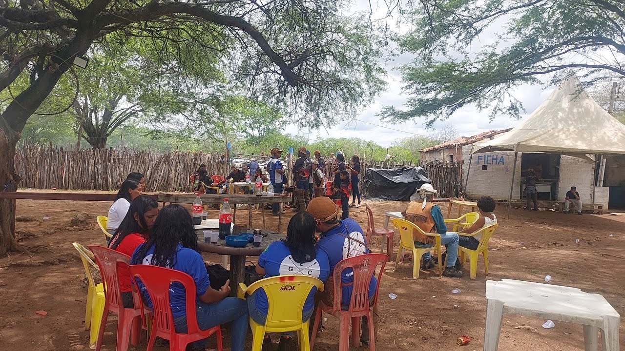 PÁTIO DA 5ª PEGA DE BOI NA FAZENDA BOM CONSELHO EM CUSTÓDIA PE BRASIL 