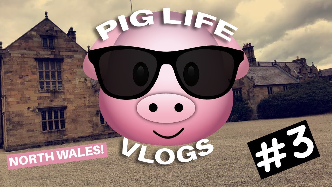 Pig Life Vlog - Road Trip To North Wales!
