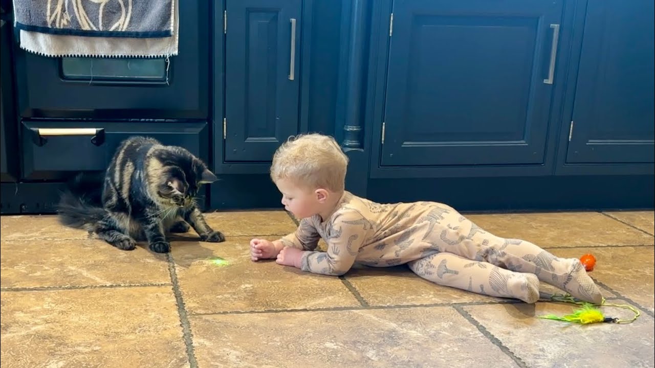 Adorable Laughing Baby And Cat Play With Laser Pen! So Wholesome!