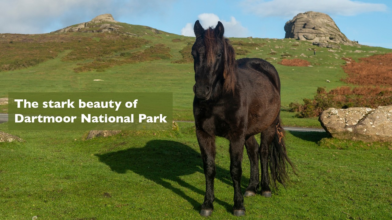 Dartmoor National Park