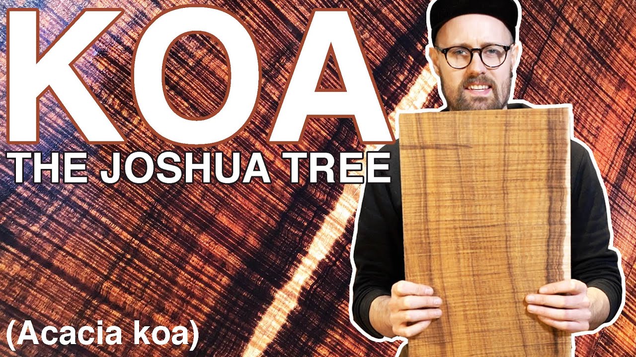 КОА СТЕПЕНИ БЕЗУМИЯ! - 'The Joshua Tree' - древесина акации для акустической гитары Koa - Tommy's...