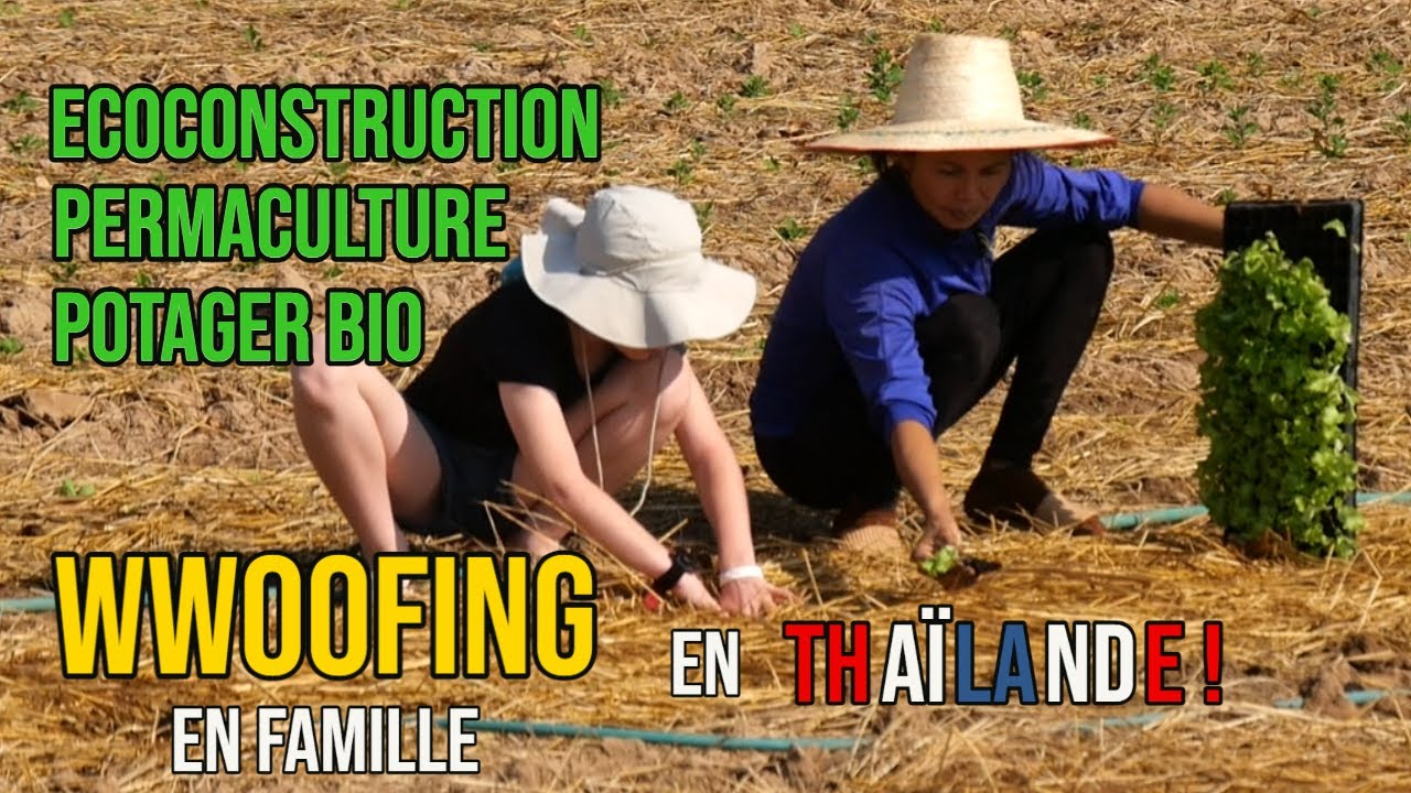 WWOOFING agriculture bio en Thaïlande, une expérience en famille inoubliable. suwan organic farmstay