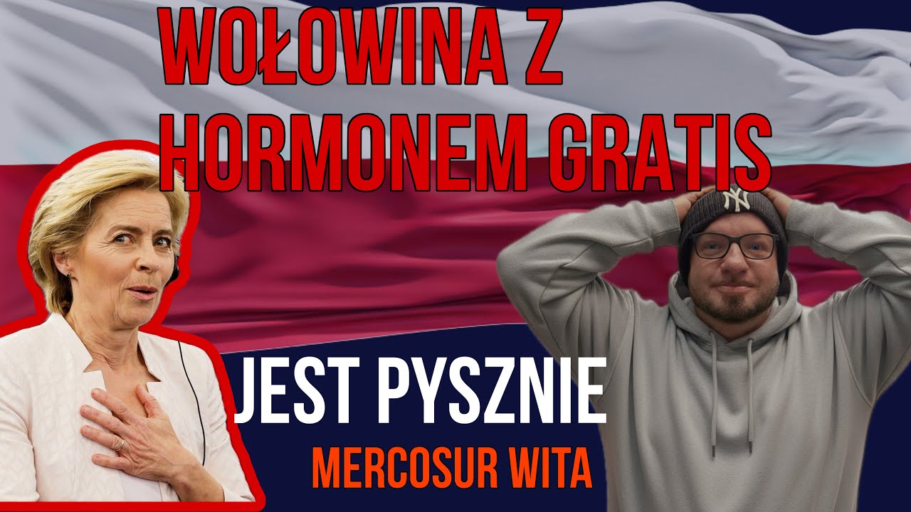 Wołowina z Hormonem gratis.  MERCOSUR WITA