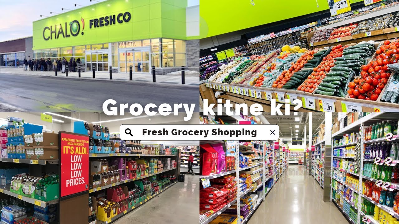 Freshco Grocery Canada | 1 week ki grocery kitne ki? | Immigrants & International students & workers