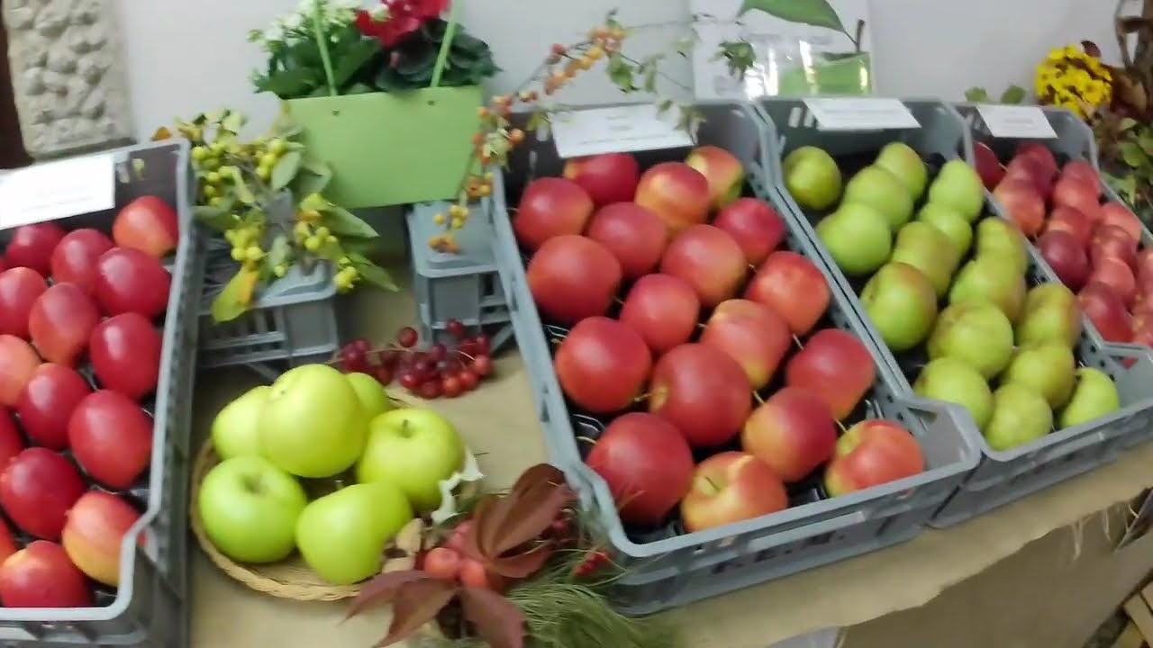 POMARIA - Denno (TN) [11 Ottobre 2025]