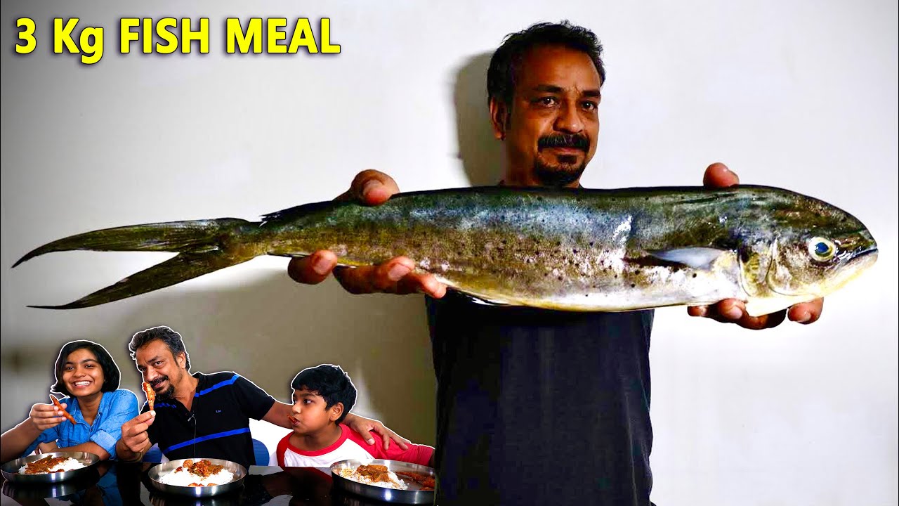 BIGGEST FISH MEAL | LOCKDOWN VLOG | Making KEFIR | BIG MILK KEFIR GRAINS