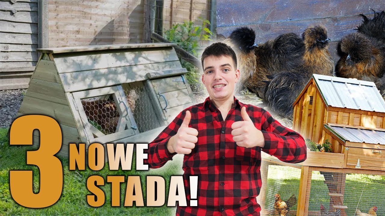 STWORZYŁEM 3 STADA SILEK!!! - Tworzymy kolorowe stada!