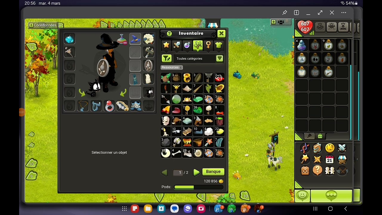 [Dofus Touch] Astuces kamas bas lvl !!!