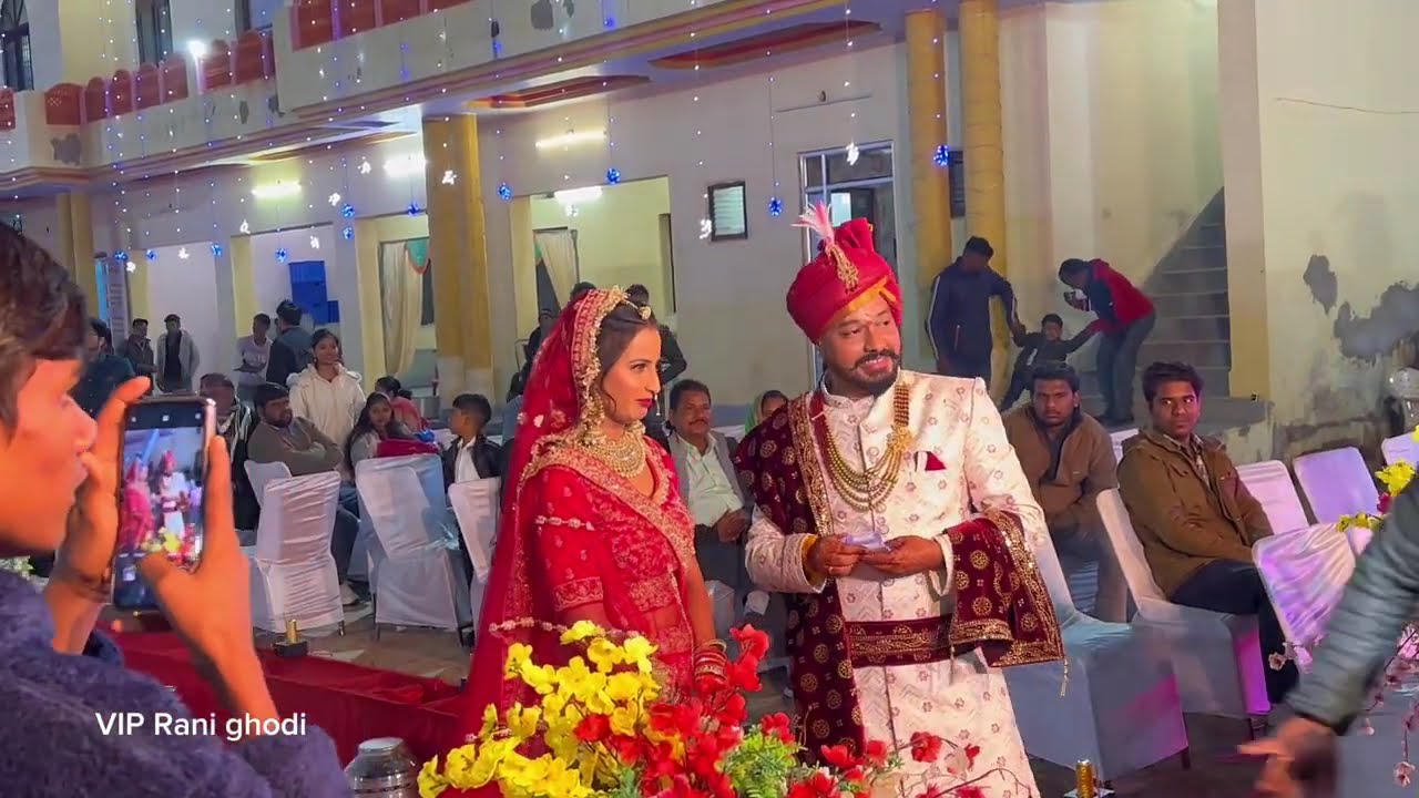 शादी 💞का न्यू 💫घोड़ी का सुपर 💃डांस🔥#viral #newdance #trending #horse #video #newvideo 