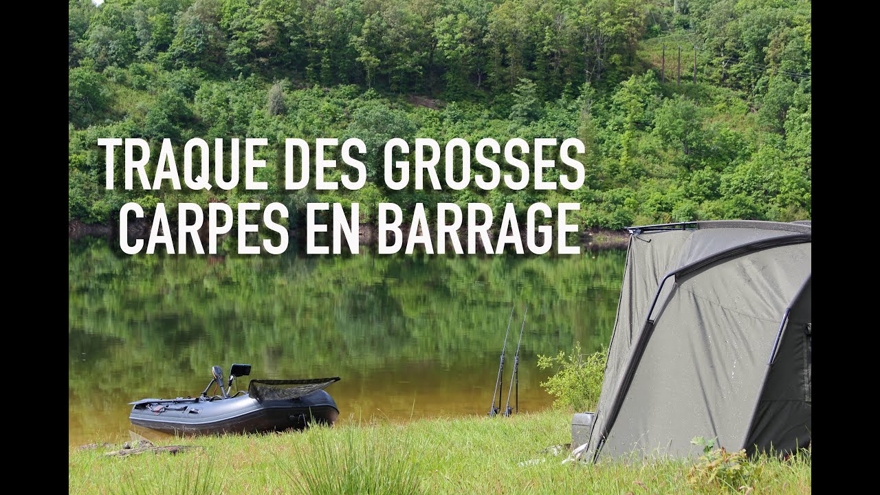 Je traque les grosses carpes de barrage Partie 1