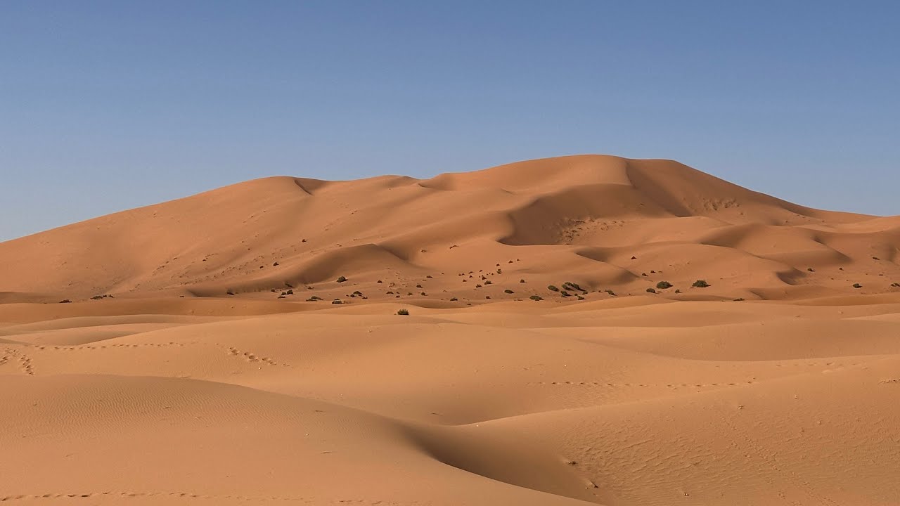 Maroc Teambuilding Coh&eacute;sion 2024 Novalyo