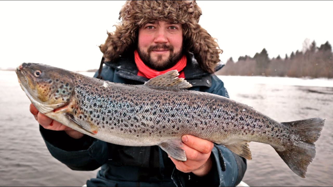 MERITAIMENTA RANNALTA JA VENEESTÄ - OULUJOEN HARTAANSELKÄ JA MERIKOSKI