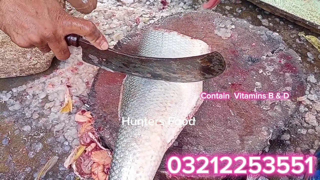 Indian Salmon Fish or Rawas Machli | Fish Cutting Skills |