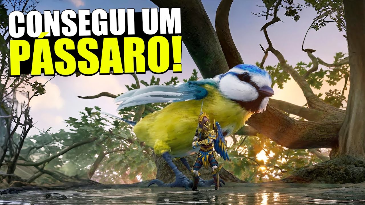 FINALMENTE! CONSEGUI UM PÁSSARO! | Smalland Survival the Wild