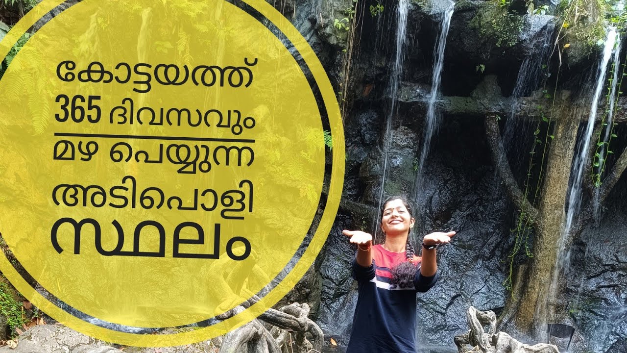 RAIN FOREST AYUR COUNTY HERITAGE RESORT | HANG 10 RAINFOREST | HANG 10 CAFE | HANG 10 KOTTAYAM |2023