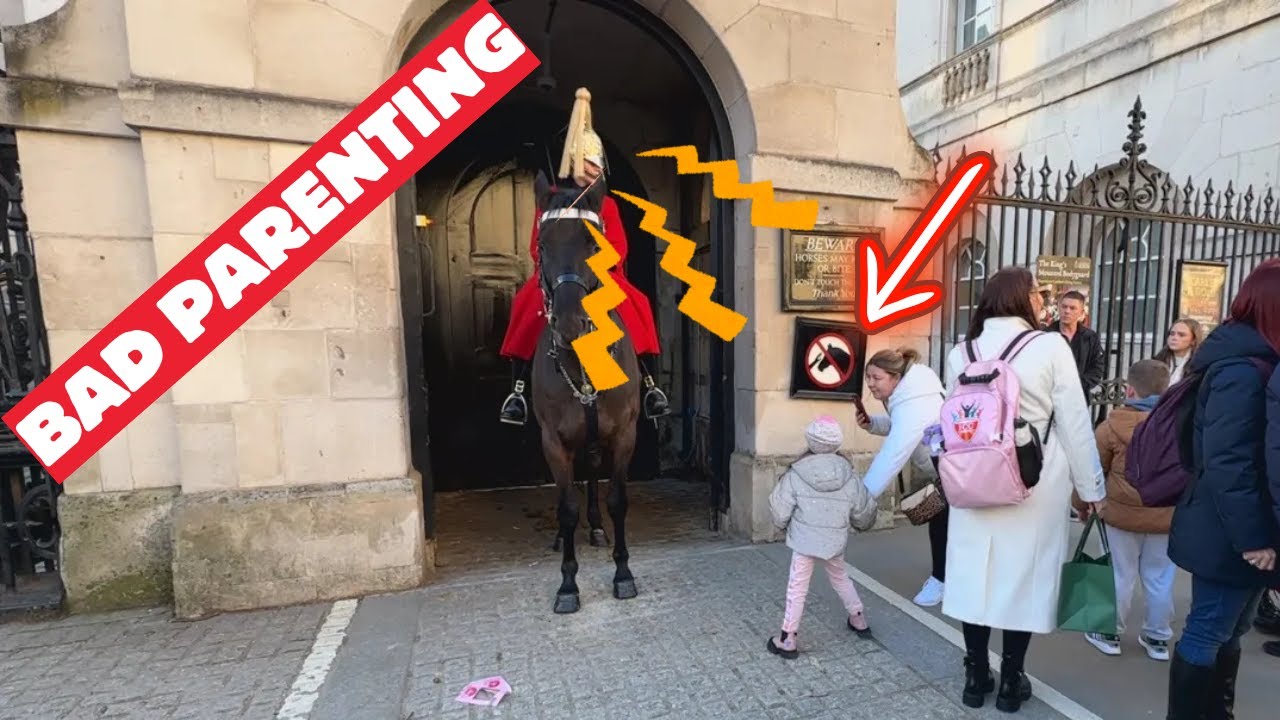 Unbelievable Parenting Fail: Girl Gets Too Close to Horse at King's Guards