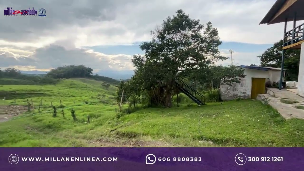 FINCA EN VENTA EN ULLOA/PEREIRA COD 279066578