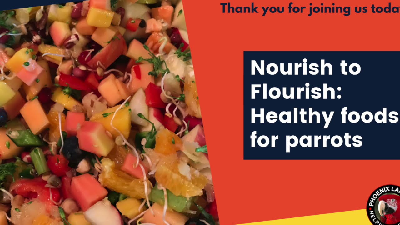 Nourish to Flourish: Healthy foods for parrots